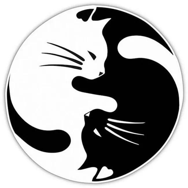 blog-image